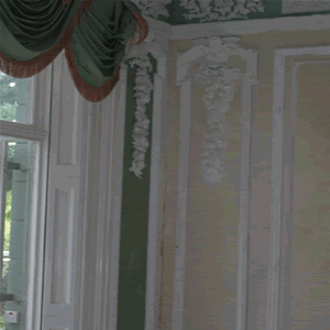 Close up of this ornate moulding